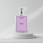 Anien